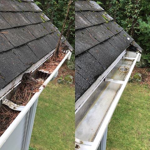 gutter cleaning chesapeake va.